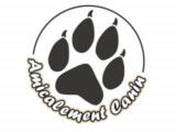 Amicalement Canin