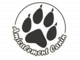 Amicalement Canin