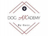 Dog Akademy