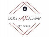 Dog Akademy