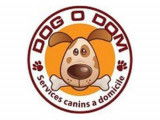 Dog O Dom