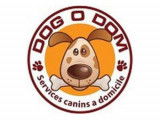 Dog O Dom