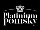 Platinium Pomsky