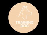 Training Dog