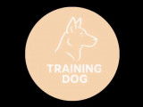 Training Dog
