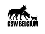 CSW Belgium