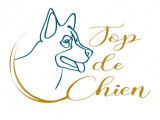 Top de chien