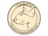 Cynofeel31