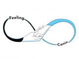 Feeling Canin