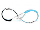 Feeling Canin