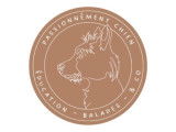 Passionnément chien