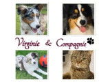 Virginie&Compagnie