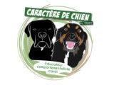 Caractère de Chien