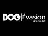 DOG Évasion
