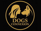 Dogs Connexion