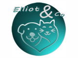 Elliot & Co
