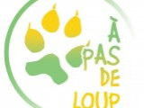 À pas de loup