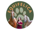 Equifelica