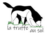 La truffe au sol