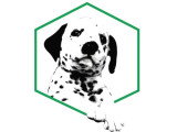 Educanine Ancenis / Saint-Herblon