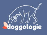 Doggologie