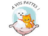 À vos pattes