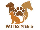 Pattes m'en 5