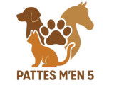 Pattes m'en 5