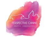 Perspective Canine