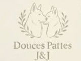 DoucesPattesJ&J