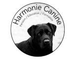Harmonie Canine