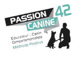 Passion Canine 42