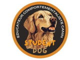 Student Dog
