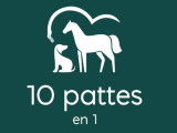 10 pattes en 1