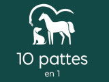 10 pattes en 1