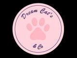 Dream Cat’s & Co