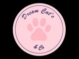 Dream Cat’s & Co