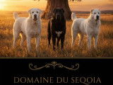 Domaine du Seqoia