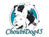 Choubidog45