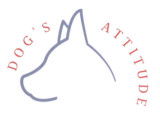 Dog's Attitude