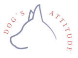 Dog's Attitude