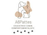 A6Pattes