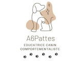 A6Pattes