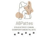 A6Pattes
