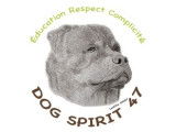 Dog Spirit 47