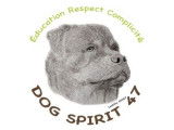 Dog Spirit 47