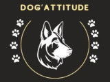 Dog'Attitude