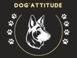Dog'Attitude