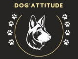 Dog'Attitude