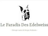 Le Paradis des Edelweiss